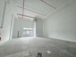 Ct Foodnex (D25), Factory #498767701